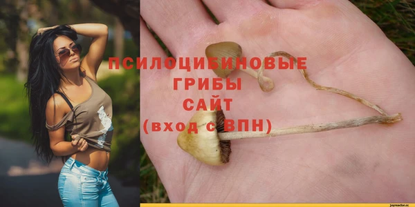 спиды Балахна