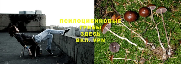спиды Балахна