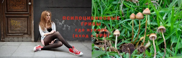 хмурый Баксан